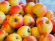 Äpfel