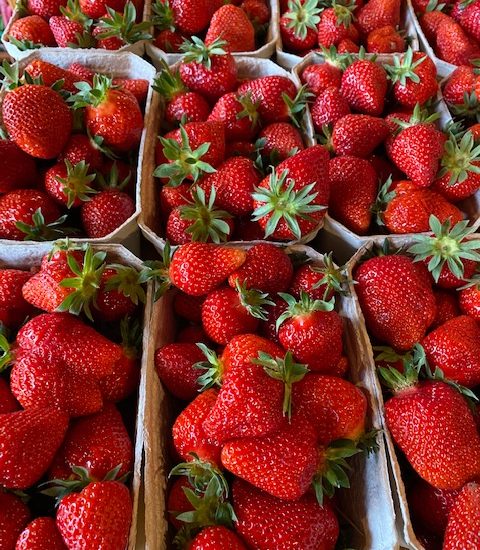 Erdbeeren