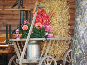 Buure Zmorge 2016 202