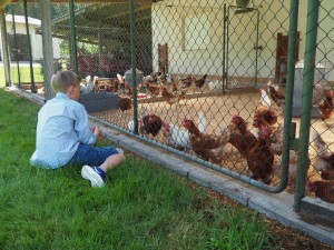 Buure Zmorge 2017 084