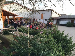 Januar 2016 252