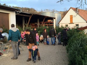 Januar 2016 267