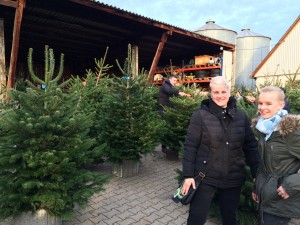 Januar 2016 272