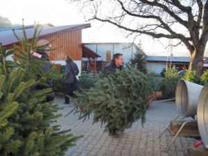 November Dezember 2016 450