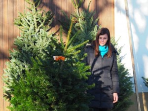 November Dezember 2016 500
