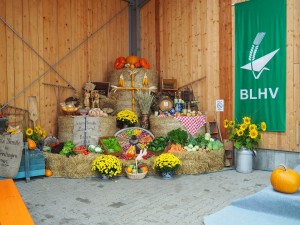 Erntedankgottesdienst 2017 003