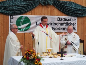 Erntedankgottesdienst 2017 255