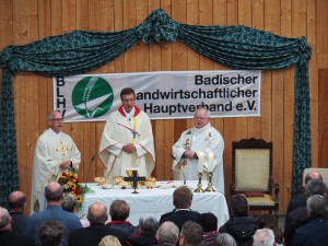 Erntedankgottesdienst 2017 264