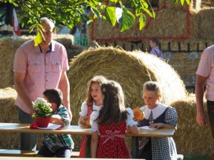 Strohballenfest 2016 389