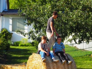 Strohballenfest 2016 394